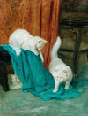 Cats Playing