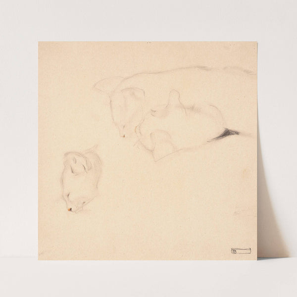 Cats. Studies (1909) by Egon Schiele