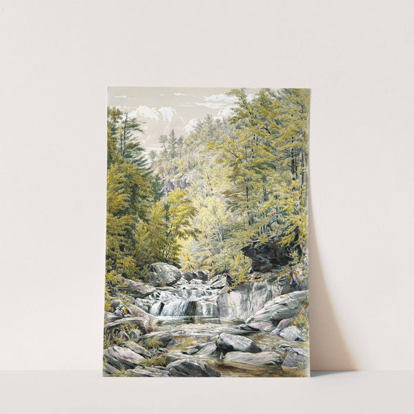 Catskill Clove (1856) by William Rickarby Miller