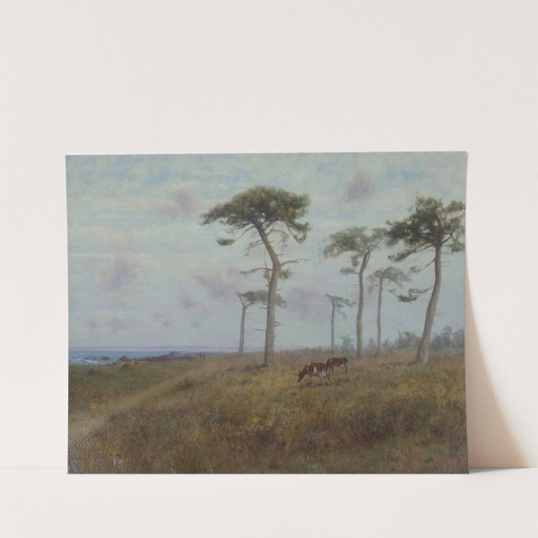 Cattle Grazing among Monterey Cypress Trees by Charles Dorman Robinson