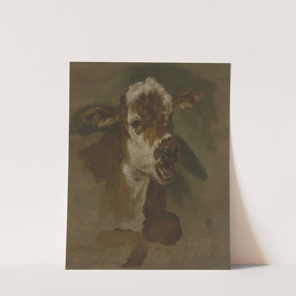 Cattle head by Adriaen van de Velde