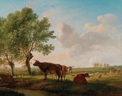 Cattle in the Meadow