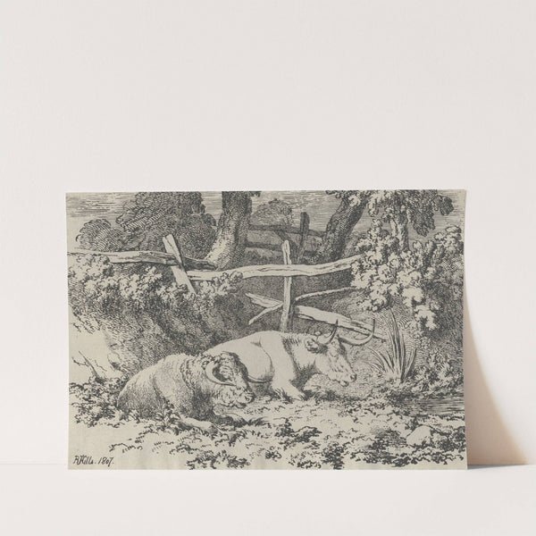 Cattle Resting by Robert Hills