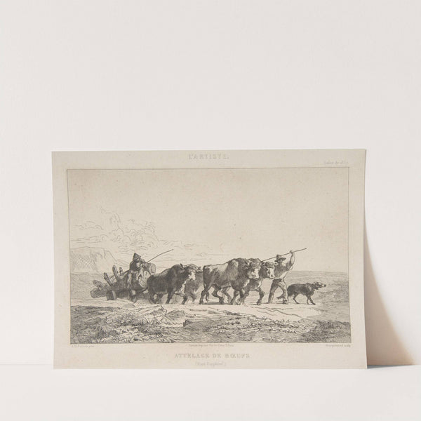 Cattle Team (Haut-Dauphiné) (1857) by Félix Bracquemond