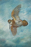 Caught In A Blizzard, Woodcock (1932)