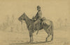 Cavalry orderly waiting for orders