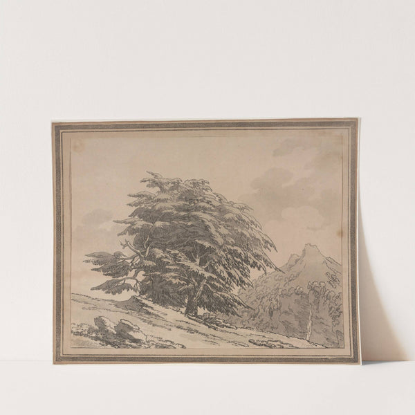 Cedar (1789) by John Robert Cozens