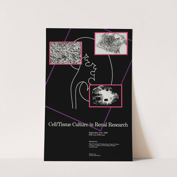 Cell, tissue culture in renal research by National Institutes of Health