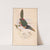 Central American aracari (1870) by William Matthew Hart