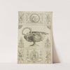Central design of urn with handle in shape of snake held by two eagles. by Michael Angelo Pergolesi