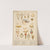 Central Europe - Jewels, trinkets by Paul Louis de Giafferri