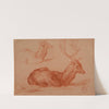 Cerf couché et étude de cerf by Jacques-Raymond Brascassat