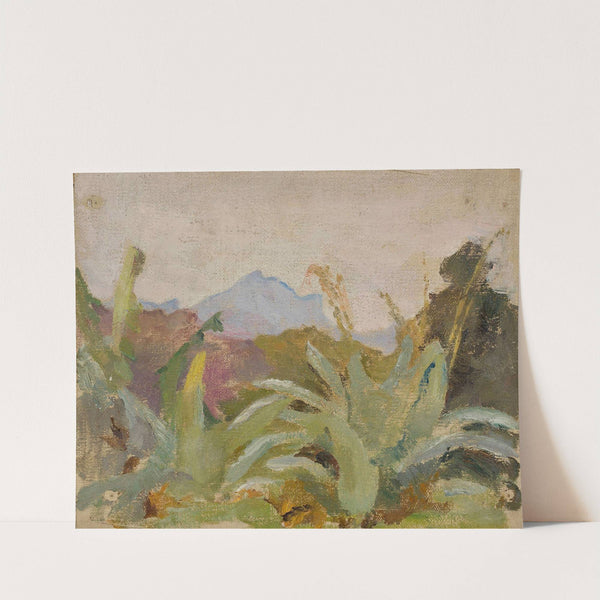 Ceylon, Adam’s Peak landscape. From the journey to India (1907) by Jan Ciągliński