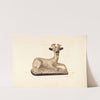 Chalkware Deer by Milton Bevier