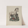 Chalkware Horse by Mina Lowry