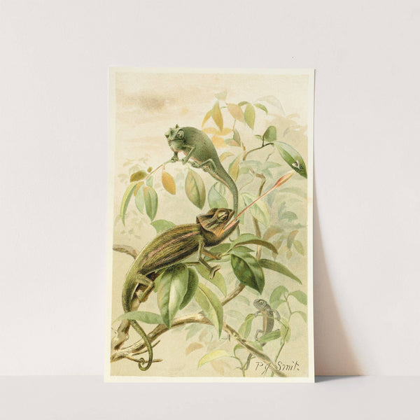 Chameleons (1893-1896) by Pierre Jacques Smit