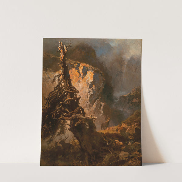 Chamois High in the Mountains by Anton Schrödl