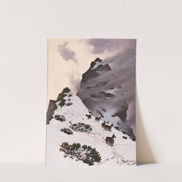 Chamois in the mountains by Stanisław Witkiewicz