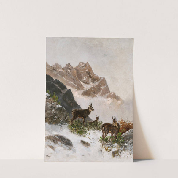 Chamois in the Snow by Georg Berger