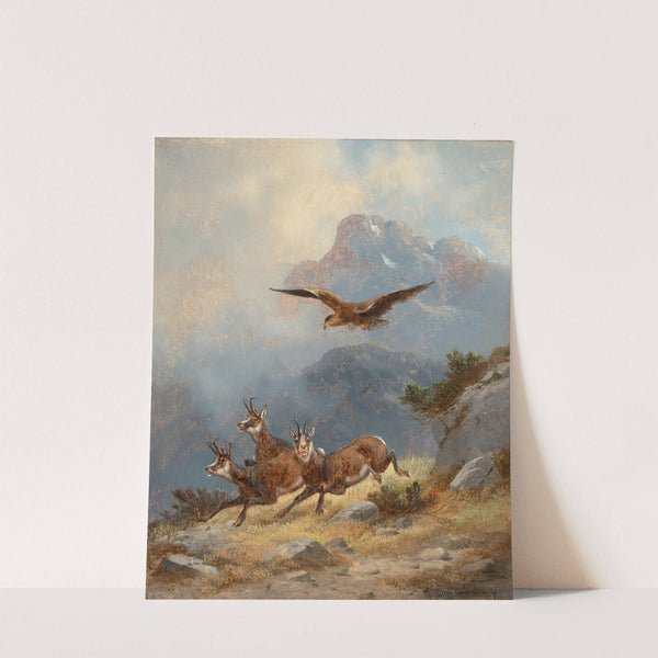 Chamois Pursued by an Eagle (1891) by Moritz Müller II