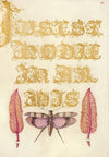 Chard Leaves and Red-Winged Grasshopper (1561–1596)