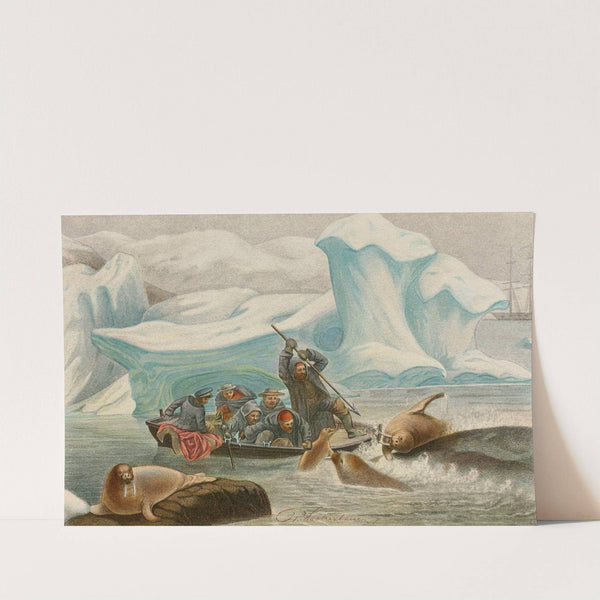 Chasse aux Morses (1866) by Alfred Frédol