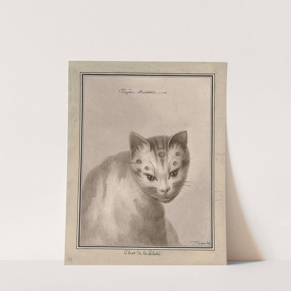 Chat de la liberté – d’après natur (1777-1825) by Jean Jacques Lequeu
