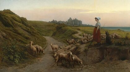 Chemin Creux Sur Les Côtes De Normandie