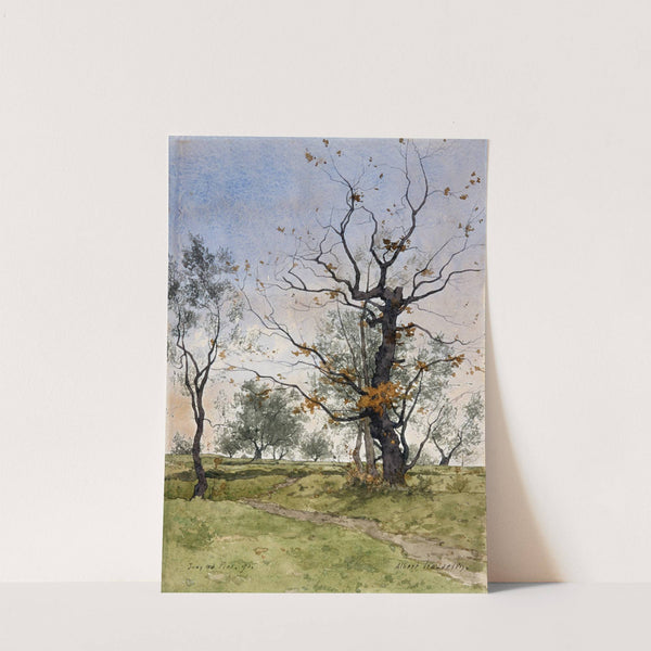 Chêne et oliviers à Juan-les-Pins by Albert Gosselin