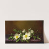 Cherokee Roses on a Purple Cloth (1894) by Martin Johnson Heade