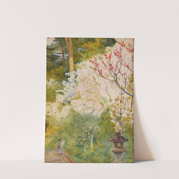 Cherry Blossom (Kyoto) (1898) by Henry Roderick Newman