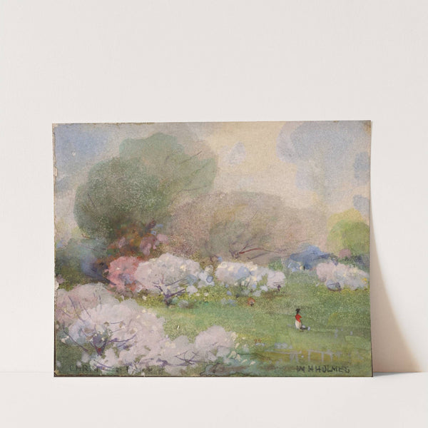 Cherry Blossoms by William Henry Holmes