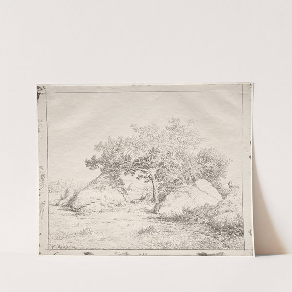 Cherry Tree at Blau (1862) by Théodore Rousseau