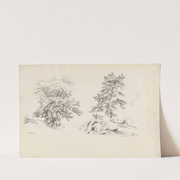 Chestnut and Pine (1869) by David Johnson