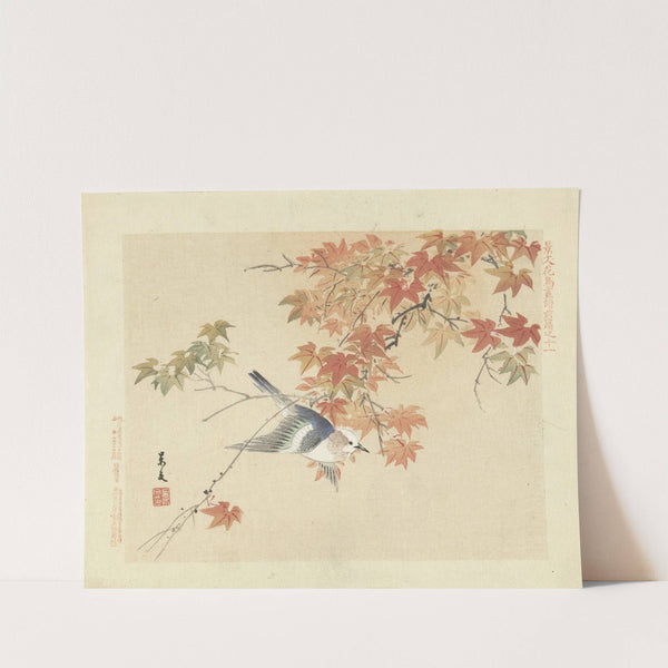 Chestnut-cheeked starling (1892) by Matsumura Keibun