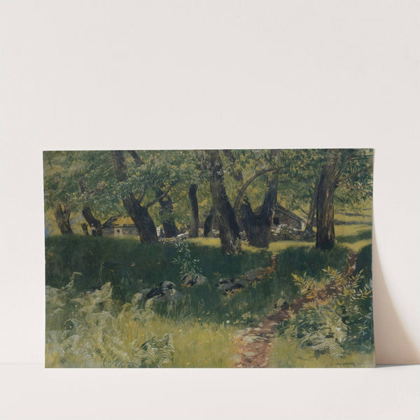 Chestnut Forest near Bignasco by Hans Sandreuter