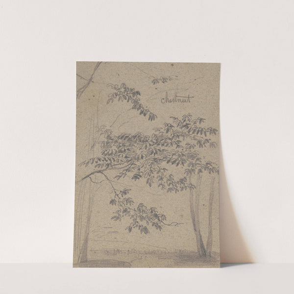 Chestnut (1840-1860) by James Fuller Queen