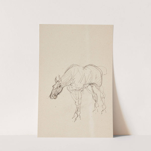 Cheval (1879-1881) by Henri de Toulouse-Lautrec