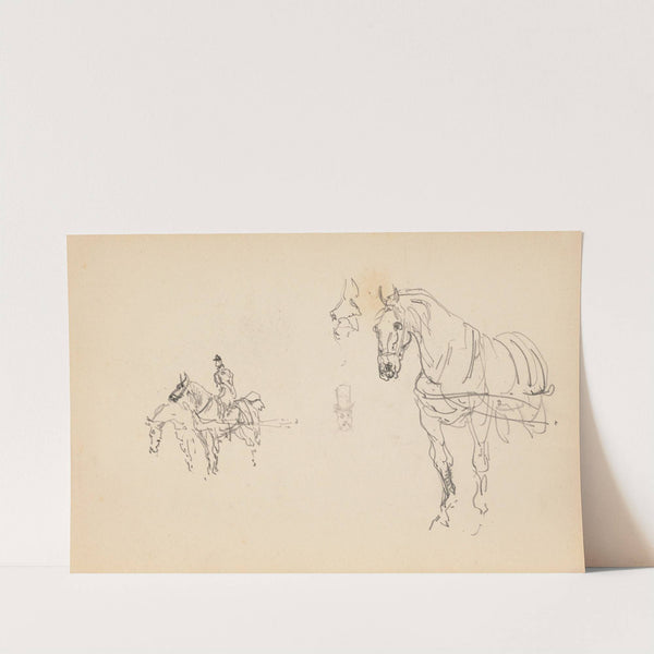 Chevaux by Henri de Toulouse-Lautrec