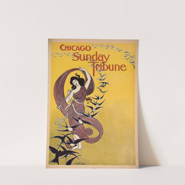 Chicago Sunday tribune by Anonymous