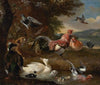 Chickens and Ducks