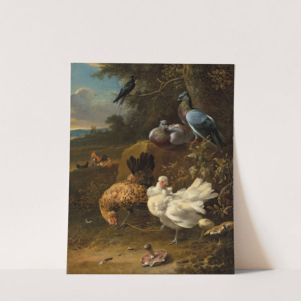 Chickens and pigeons in a landscape by Melchior d'''Hondecoeter