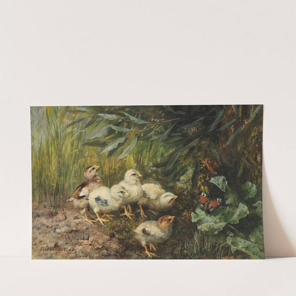 Chicks and a Butterfly, by Franz Xaver Birkinger