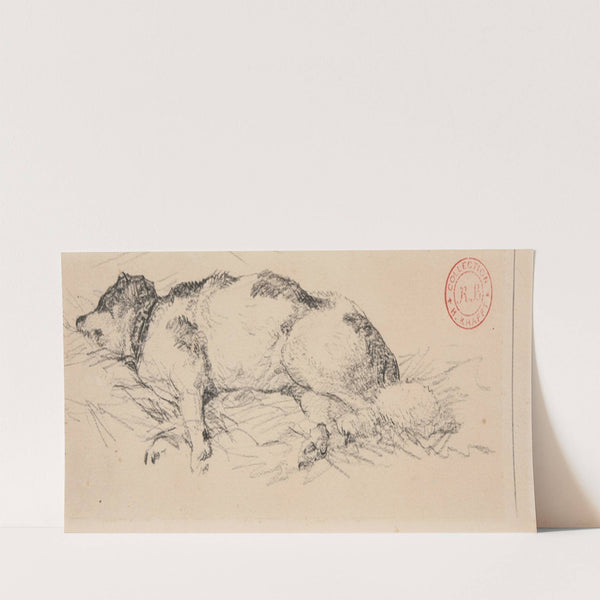 Chien couché by Jacques-Raymond Brascassat