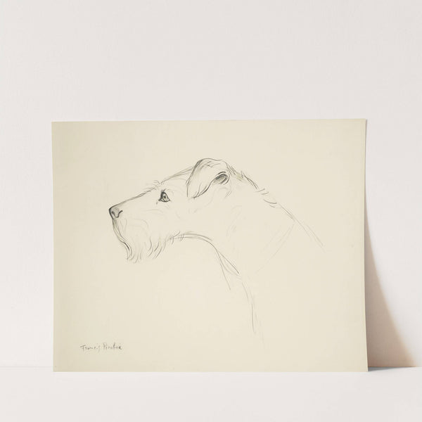 Chien de profil by Francis Picabia