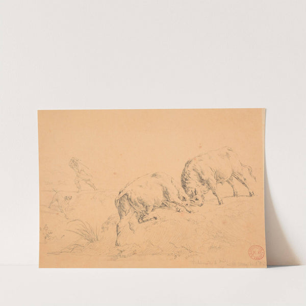 Chien et berger accourant pour empêcher un combat de taureaux by Jacques-Raymond Brascassat