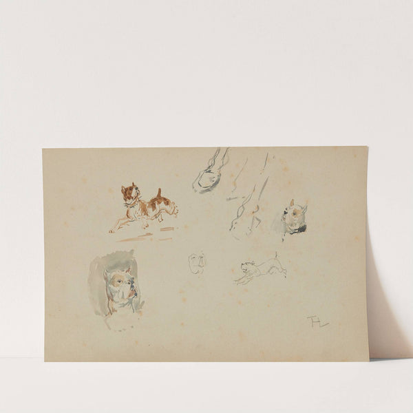 Chiens et sabots de cheval by Henri de Toulouse-Lautrec