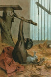 Chimpanzee.