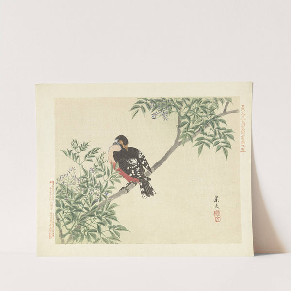 Chinaberry and white-backed woodpecker (1892) by Matsumura Keibun
