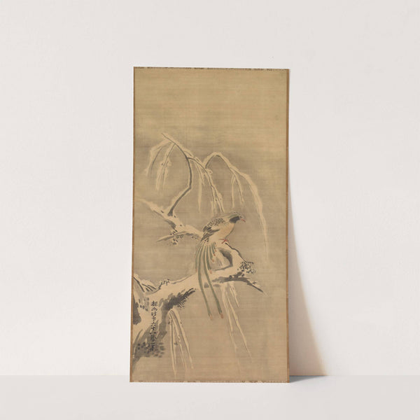 Chinese Bird on Snow-Laden Branch (1661) by Kano Tan’yū